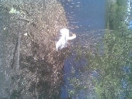 Clique pour agrandir ...