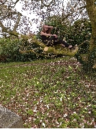 Clique pour agrandir ...